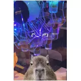日記画像