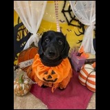 D76f6402043714b82da06c3e5022209e