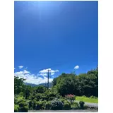 日記画像