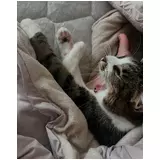 日記画像