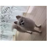 日記画像