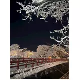 日記画像