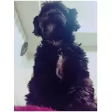 日記画像