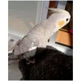 日記画像