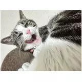 日記画像