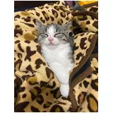 日記画像