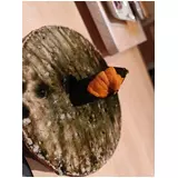 日記画像