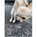 日記画像