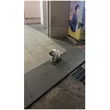 日記画像