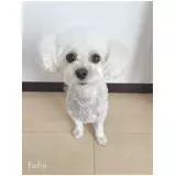 日記画像