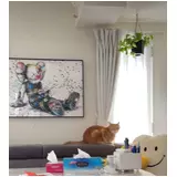 日記画像