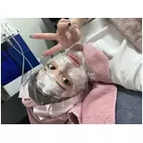 日記画像