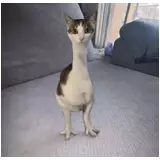 日記画像