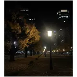 日記画像