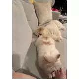 日記画像