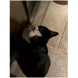 日記画像