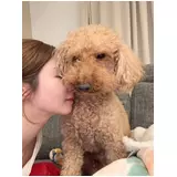 日記画像