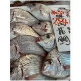 日記画像