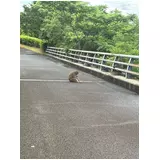日記画像