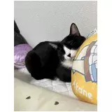 日記画像