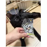 日記画像