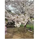 日記画像