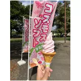 日記画像