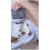 日記画像