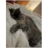 日記画像