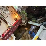 日記画像