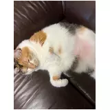 日記画像