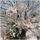 日記画像