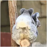 日記画像