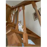 日記画像