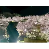 日記画像