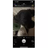 日記画像