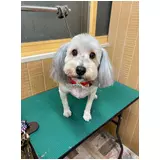 日記画像