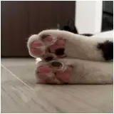日記画像