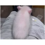 日記画像