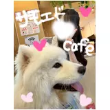 日記画像