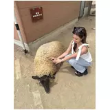 日記画像