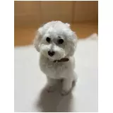 日記画像