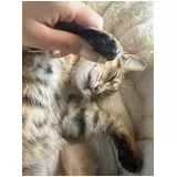 日記画像