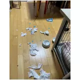 日記画像