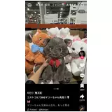 日記画像