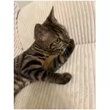 日記画像