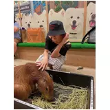 日記画像