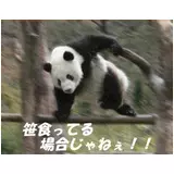 日記画像