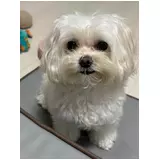 日記画像
