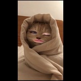 日記画像